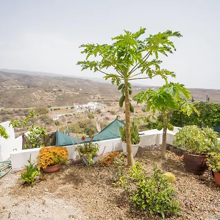 Da Eva Santa Cruz de Tenerife