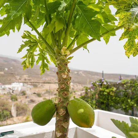 Holiday home Da Eva *