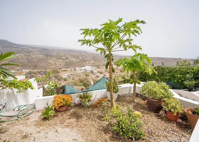 Da Eva Santa Cruz de Tenerife
